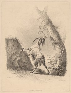 Ged i et landskab, 1805. af Adam von Bartsch