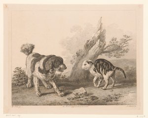 Hund og kat i kampstilling mod hinanden Dyr efter malerier af hollandske mestre (serietitel) Différens animaux graves d