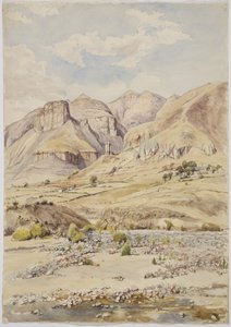 Udsigt - nær Ixtacamaxtitlan, Mexico (akvarel) af Adela Breton