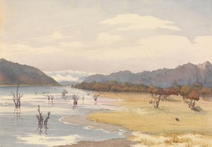 "Acoleo-søen [Aculeo], Chile, 11. januar 1851