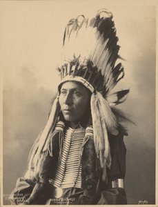 [Hubble Big Horse, af Tsistsistas-folket].