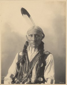 Hvid bøffel, cheyenner