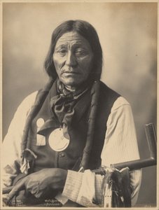 [Hvid bøffel fra arapaho-folket]