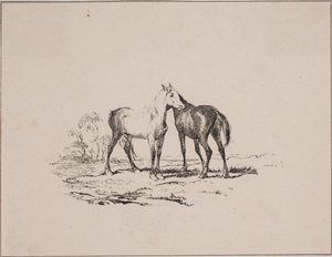 De to heste af Johan Adolph Kittendorff