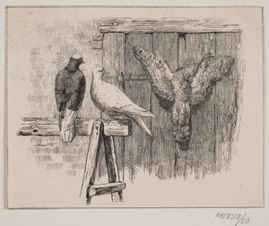 Duerne af Johan Adolph Kittendorff