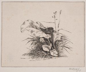 Violinen af Johan Adolph Kittendorff