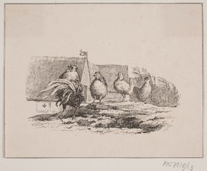 Hanen af Johan Adolph Kittendorff