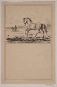 Hesten i vandet. Nr. 22 i Chr. Winther og M. Rørbye, "25 Billeder for små børn" af Johan Adolph Kittendorff