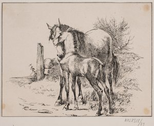 Hesten og føllet af Johan Adolph Kittendorff