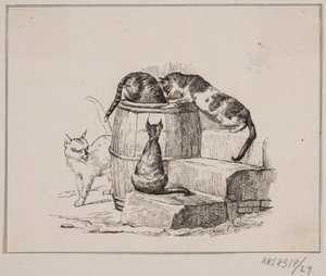 Kattene af Johan Adolph Kittendorff