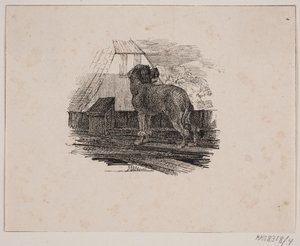 Puddelhunden af Johan Adolph Kittendorff