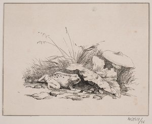 Tudsen af Johan Adolph Kittendorff
