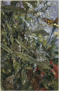  af Adolph Menzel