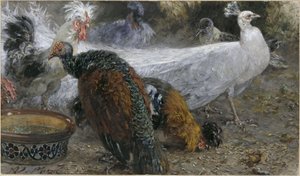 Den hvide påfugl med en kalkun og høns. Fra »Kinderalbum« af Adolph Menzel