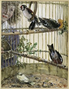 Tornfinker og kanariefuglen i »Bauer«. Fra »Kinderalbum« af Adolph Menzel