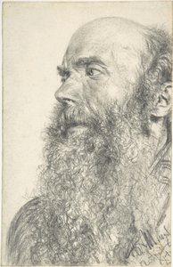 Hovedet af en skægget mand af Adolph Menzel