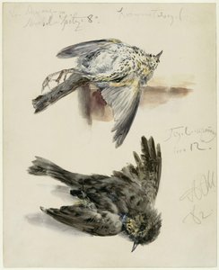  af Adolph Menzel