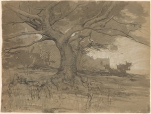 Et stort bøgetræ i udkanten af en skov af Adolphe Appian