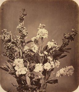 Buket, ca. 1855.
