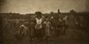 Tilkaldelse af kornetterne af Adolphe Braun