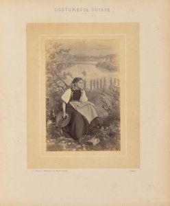 Kanton Schaffhausen af Adolphe Braun