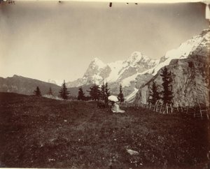 Landskab, Schweiz af Adolphe Braun