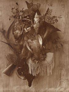 Fasan og Ryper, ca. 1865.