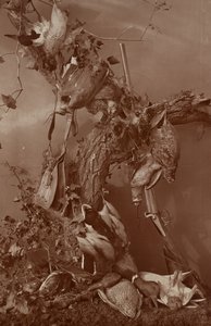[Still Life: Dead Game] af Adolphe Braun