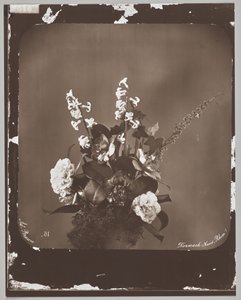 Uden titel (blomsterarrangement) af Adolphe Braun