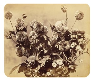 Uden titel, c. 1860 (albumin tryk)