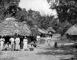 Indfødte hytter, Jamaica, c1905.