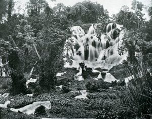 Roaring River Falls, Jamaica, c1905. af Adolphe Duperly and Son