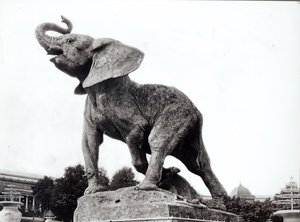 Ung elefant fanget i en fælde (1878) af Emmanuel Fremiet (1824-1910) foran Trocadero-paladset, bygget til den universelle udstilling (1878), Paris, 1888 af Adolphe Giraudon