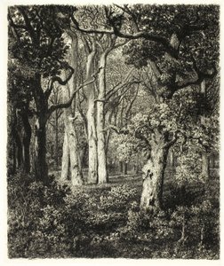 Old Oaks ved Bas Bréau