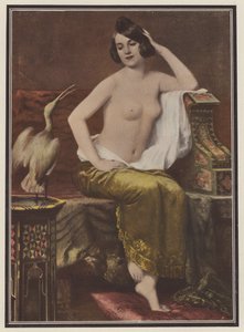 Favoritten, kvinde med en fugl (farve litho) af Adolphe Weisz