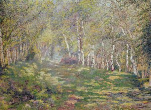 Sølvbirkes (olie på lærred) af Adriaan Josef Heymans