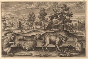 En abe, et pindsvin, to pindsvin, en bøffel og en ræv af Adriaen Collaert