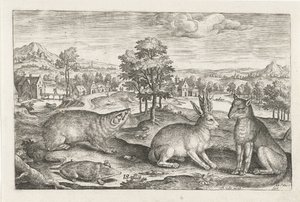 skovens dyr Firebenede dyr (serietitel) Animalivm Qvaddrvpedvm (serietitel) af Adriaen Collaert