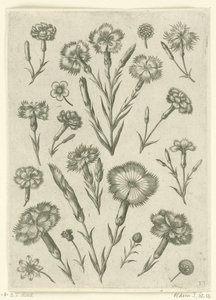 Forskellige vrede Florilegium (serietitel) af Adriaen Collaert