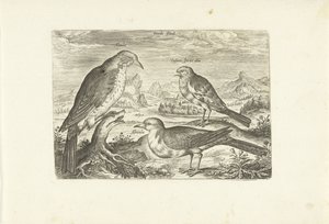 Tre fugle i et landskab Avium Vivae (serietitel) Fugle (serietitel) af Adriaen Collaert