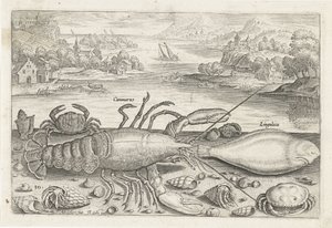 En fisk og nogle krebsdyr på stranden Fiskeri (serietitel) Piscivm vivae ikoner (serietitel) af Adriaen Collaert