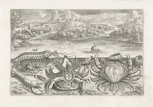 Nogle krebsdyr på stranden Fiskeri (serietitel) Piscium vivae-ikoner (serietitel) af Adriaen Collaert