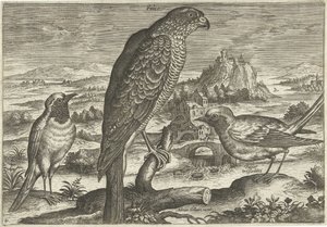 Nogle fugle i et landskab Fugle (serietitel) Avivm vivae (serietitel) af Adriaen Collaert