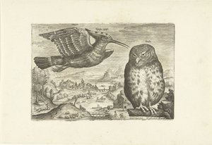 Nogle fugle i et landskab Fugle (serietitel) Avivm vivae (serietitel) af Adriaen Collaert