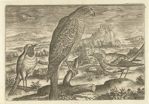 Nogle fugle i et landskab Fugle (serietitel) Avivm vivae (serietitel) af Adriaen Collaert