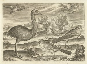 Nogle fugle i et landskab Fugle (serietitel) Avivm vivae (serietitel) af Adriaen Collaert