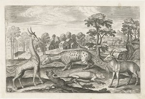 eksotiske dyr Firebenede dyr (serietitel) Animalivm Qvaddrvpedvm (serietitel) af Adriaen Collaert