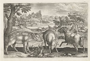 Ged og orne Firebenede dyr (serietitel) Animalivm Qvaddrvpedvm (serietitel) af Adriaen Collaert