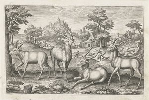 hjort Firebenede dyr (serietitel) Animalivm Qvaddrvpedvm (serietitel) af Adriaen Collaert