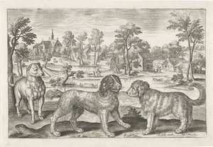 hunde Firebenede dyr (serietitel) Animalivm Qvaddrvpedvm (serietitel) af Adriaen Collaert